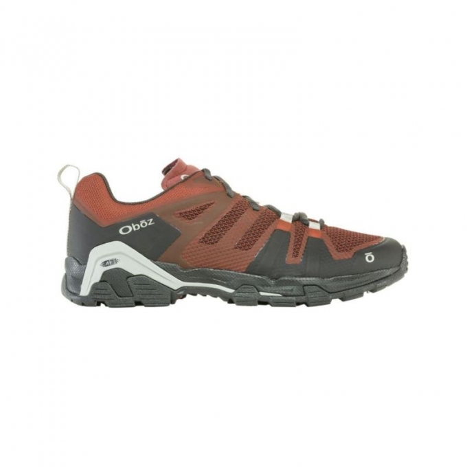 Oboz Canada Men's Arete Low-Rust