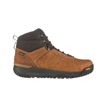 Oboz Canada Men's Andesite Mid Insulated Waterproof-Dachshund