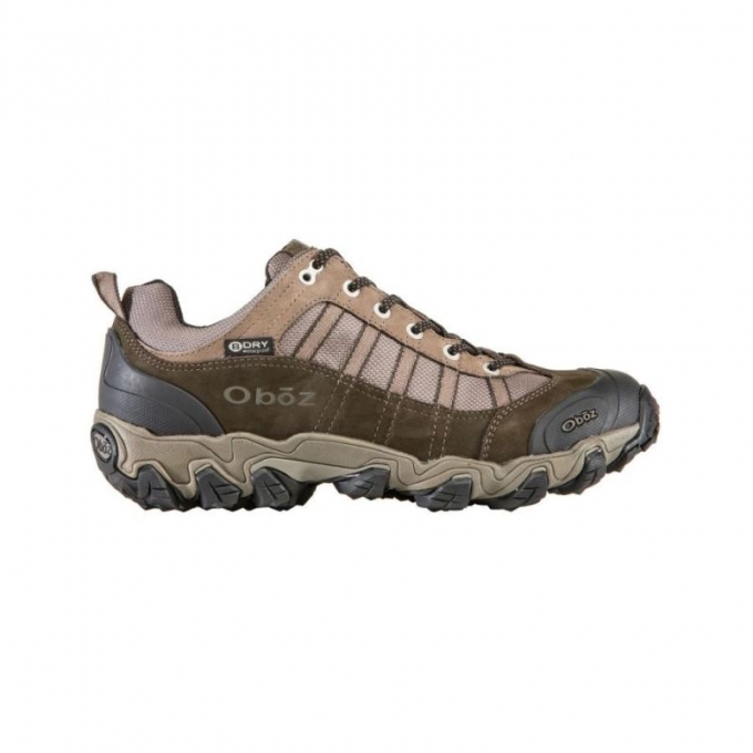 Oboz Canada Men's Tamarack Low Waterproof-Bungee